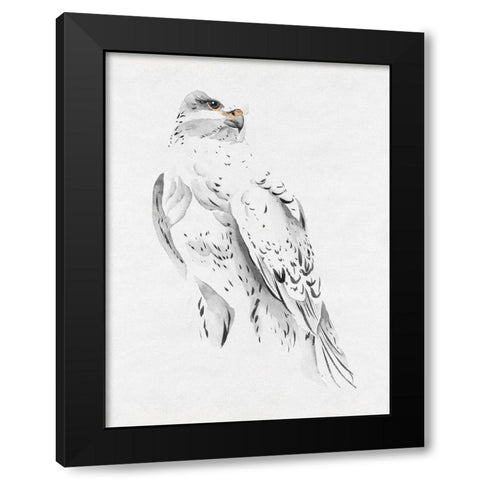 Gyrfalcon II Black Modern Wood Framed Art Print with Double Matting by Wang, Melissa