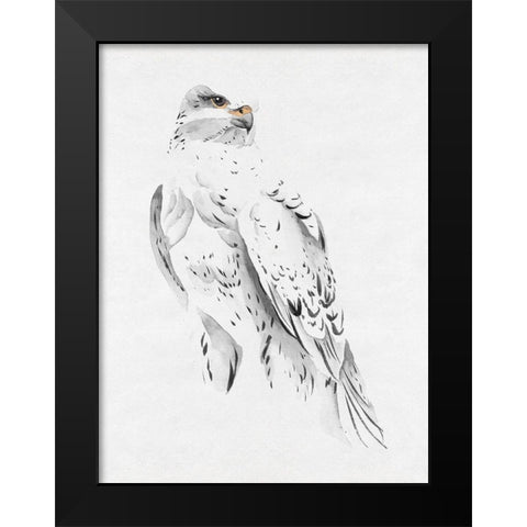 Gyrfalcon II Black Modern Wood Framed Art Print by Wang, Melissa