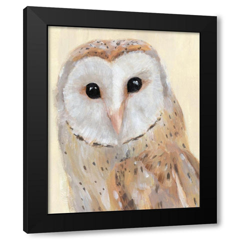 Common Barn Owl I Black Modern Wood Framed Art Print by Warren, Annie