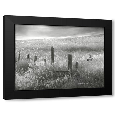 Fence Line Flight II Black Modern Wood Framed Art Print with Double Matting by Vest, Chris