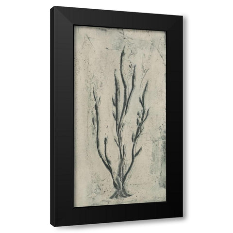 Sea Bevy I Black Modern Wood Framed Art Print by Stramel, Renee W.