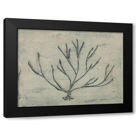 Sea Bevy III Black Modern Wood Framed Art Print by Stramel, Renee W.