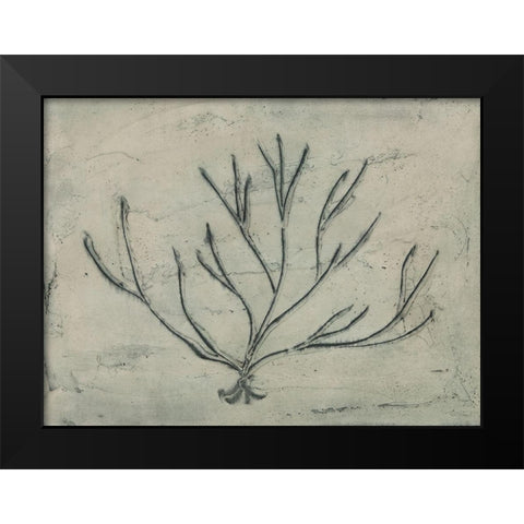 Sea Bevy III Black Modern Wood Framed Art Print by Stramel, Renee W.