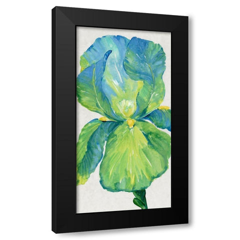 Iris Bloom in Green I Black Modern Wood Framed Art Print by OToole, Tim