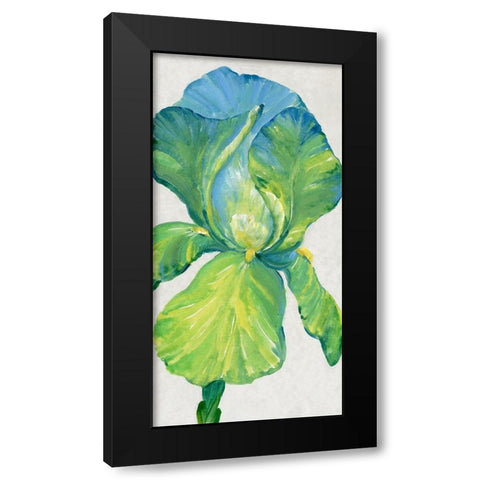 Iris Bloom in Green II Black Modern Wood Framed Art Print by OToole, Tim