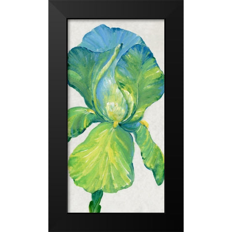 Iris Bloom in Green II Black Modern Wood Framed Art Print by OToole, Tim