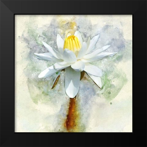 Pretty in Pastel II Black Modern Wood Framed Art Print by Robertson, Leda