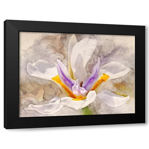 Playful Petals I Black Modern Wood Framed Art Print with Double Matting by Robertson, Leda