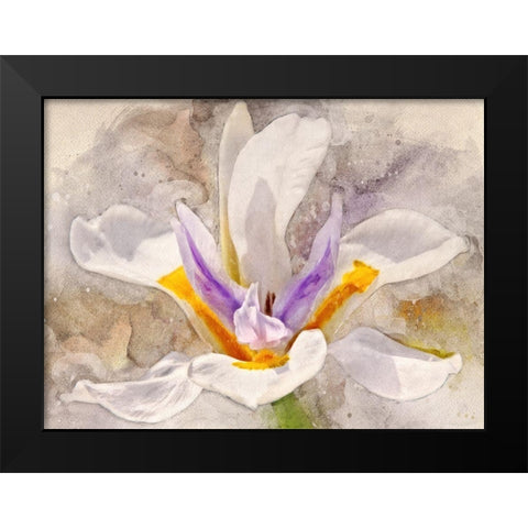 Playful Petals I Black Modern Wood Framed Art Print by Robertson, Leda