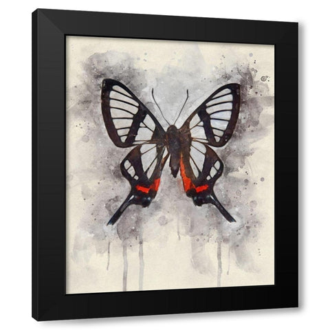 Natural Abstraction II Black Modern Wood Framed Art Print by Robertson, Leda