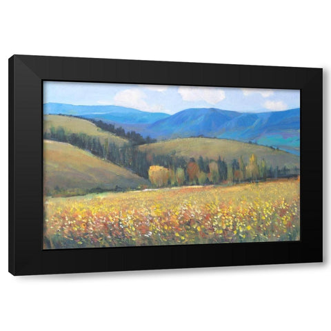 Mountain Pass I Black Modern Wood Framed Art Print with Double Matting by OToole, Tim