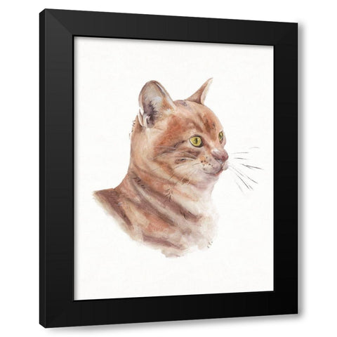 Orange Cat I Black Modern Wood Framed Art Print with Double Matting by Wang, Melissa