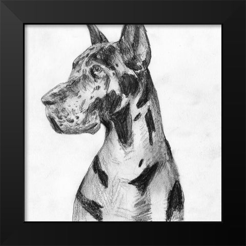 Great Dane Portrait I Black Modern Wood Framed Art Print by Wang, Melissa