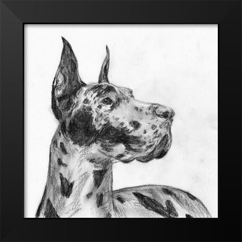 Great Dane Portrait II Black Modern Wood Framed Art Print by Wang, Melissa