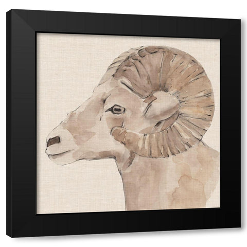 Bighorn Profile I Black Modern Wood Framed Art Print by Warren, Annie
