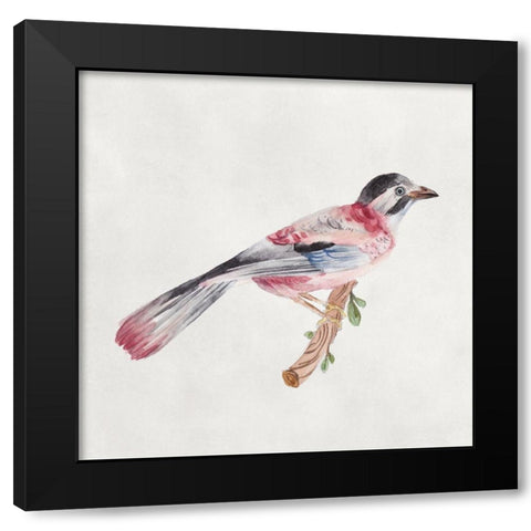 Bird Sketch I Black Modern Wood Framed Art Print with Double Matting by Wang, Melissa