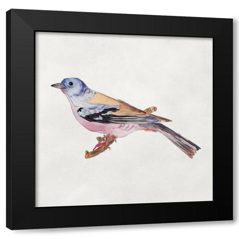 Bird Sketch II Black Modern Wood Framed Art Print with Double Matting by Wang, Melissa