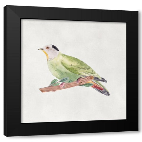 Bird Sketch III Black Modern Wood Framed Art Print with Double Matting by Wang, Melissa