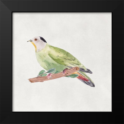 Bird Sketch III Black Modern Wood Framed Art Print by Wang, Melissa