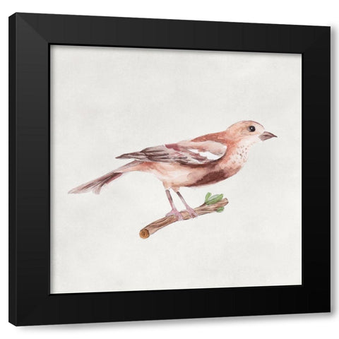 Bird Sketch IV Black Modern Wood Framed Art Print with Double Matting by Wang, Melissa