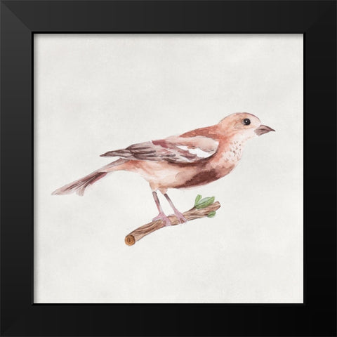 Bird Sketch IV Black Modern Wood Framed Art Print by Wang, Melissa