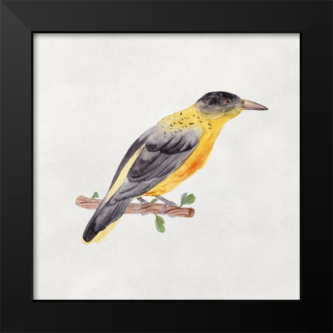 Bird Sketch VI Black Modern Wood Framed Art Print by Wang, Melissa