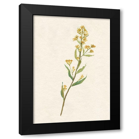 Delicate Yellow I Black Modern Wood Framed Art Print with Double Matting by Goldberger, Jennifer