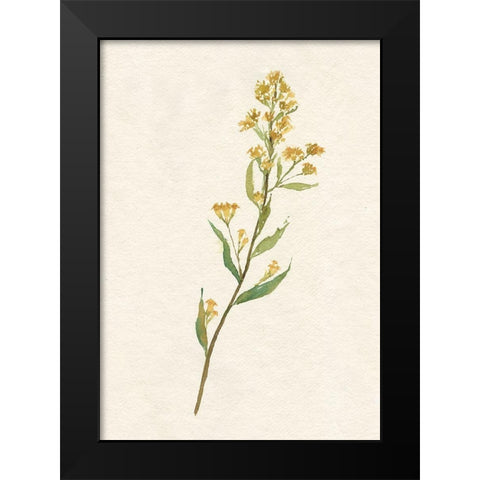 Delicate Yellow I Black Modern Wood Framed Art Print by Goldberger, Jennifer