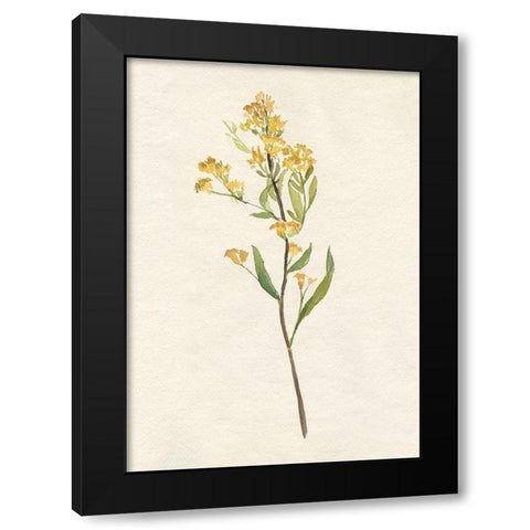 Delicate Yellow II Black Modern Wood Framed Art Print with Double Matting by Goldberger, Jennifer