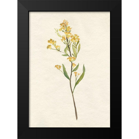 Delicate Yellow II Black Modern Wood Framed Art Print by Goldberger, Jennifer