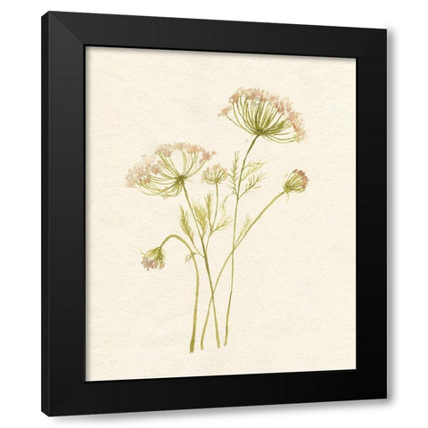 Blush Lace I Black Modern Wood Framed Art Print with Double Matting by Goldberger, Jennifer