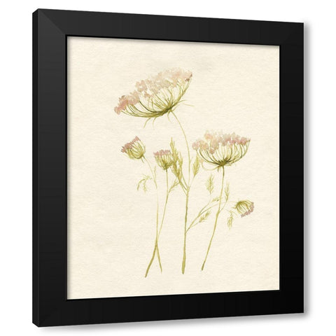 Blush Lace II Black Modern Wood Framed Art Print with Double Matting by Goldberger, Jennifer