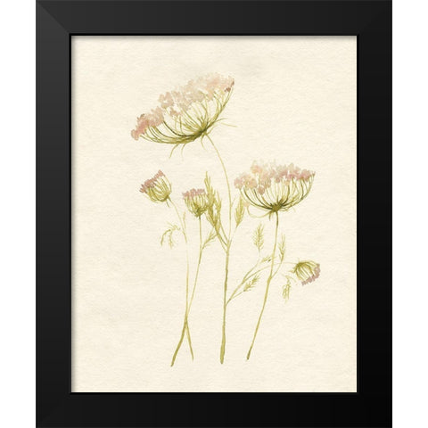 Blush Lace II Black Modern Wood Framed Art Print by Goldberger, Jennifer