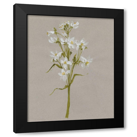 White Field Flowers I Black Modern Wood Framed Art Print with Double Matting by Goldberger, Jennifer