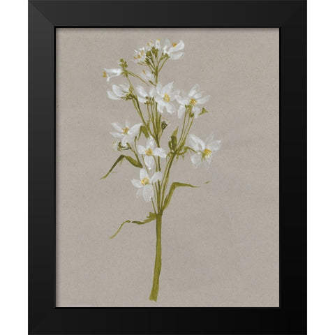 White Field Flowers I Black Modern Wood Framed Art Print by Goldberger, Jennifer