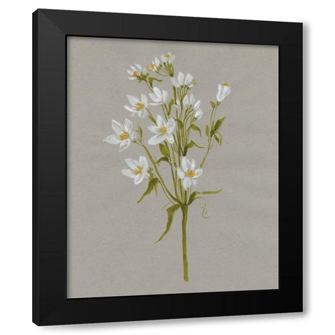 White Field Flowers II Black Modern Wood Framed Art Print with Double Matting by Goldberger, Jennifer