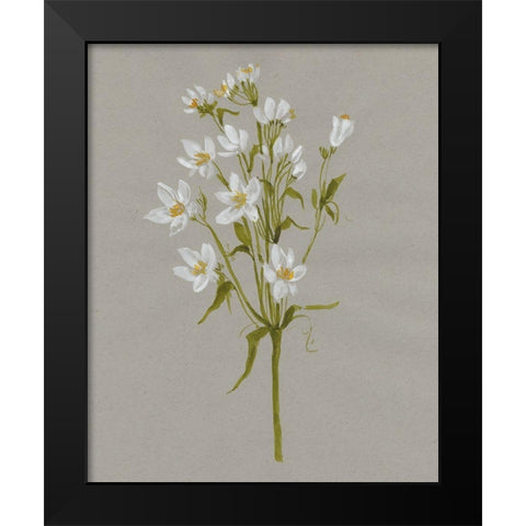 White Field Flowers II Black Modern Wood Framed Art Print by Goldberger, Jennifer