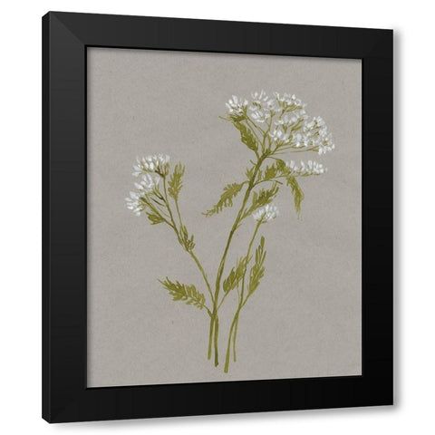 White Field Flowers III Black Modern Wood Framed Art Print with Double Matting by Goldberger, Jennifer