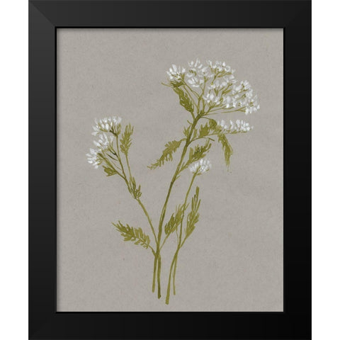 White Field Flowers III Black Modern Wood Framed Art Print by Goldberger, Jennifer