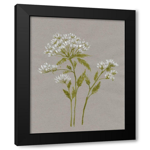 White Field Flowers IV Black Modern Wood Framed Art Print with Double Matting by Goldberger, Jennifer