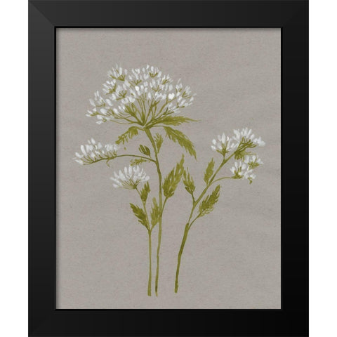 White Field Flowers IV Black Modern Wood Framed Art Print by Goldberger, Jennifer