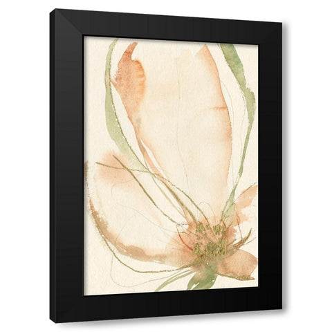 Petal Sketches I Black Modern Wood Framed Art Print with Double Matting by Goldberger, Jennifer