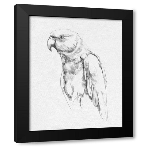 Parrot Portrait I Black Modern Wood Framed Art Print with Double Matting by Caroline, Emma
