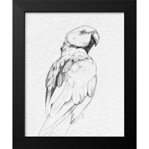 Parrot Portrait II Black Modern Wood Framed Art Print by Caroline, Emma
