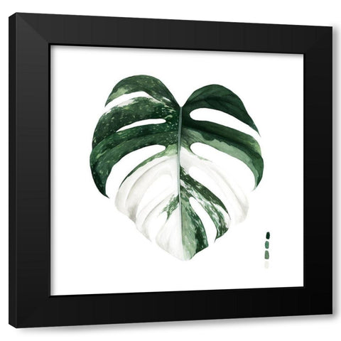 Custom Variegated Monstera I Black Modern Wood Framed Art Print with Double Matting by Popp, Grace