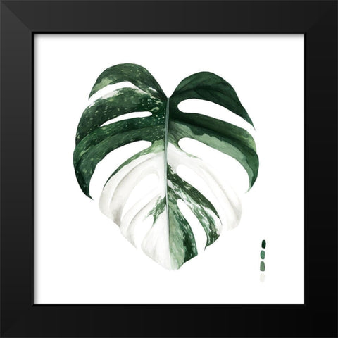 Custom Variegated Monstera I Black Modern Wood Framed Art Print by Popp, Grace