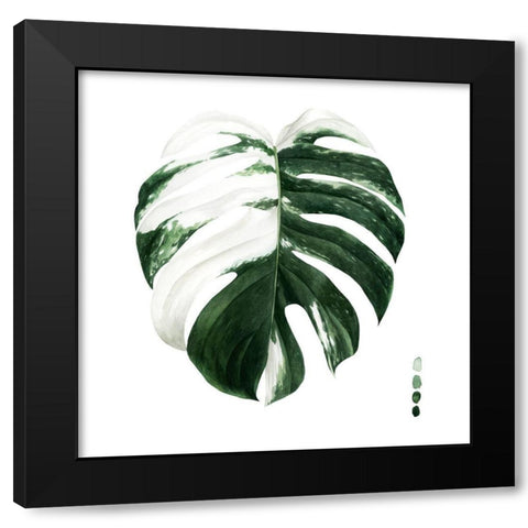 Custom Variegated Monstera II Black Modern Wood Framed Art Print with Double Matting by Popp, Grace