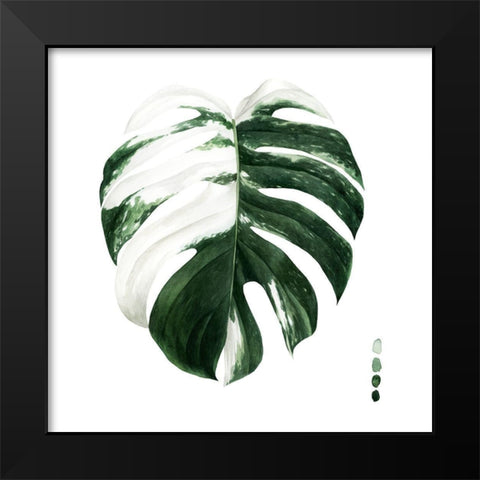 Custom Variegated Monstera II Black Modern Wood Framed Art Print by Popp, Grace