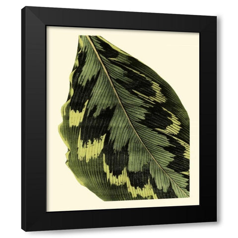 Grandiose Leaves I Black Modern Wood Framed Art Print with Double Matting by Vision Studio