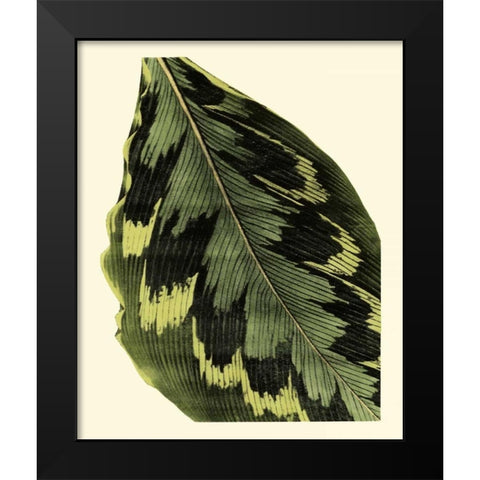 Grandiose Leaves I Black Modern Wood Framed Art Print by Vision Studio